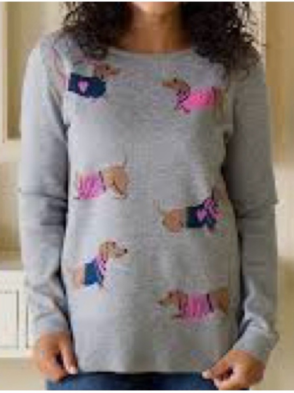 Astrologie Dachshund Puppy Intarsia Knit Sweater in Gray - Size Small